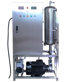 YT S 40A氧气源臭氧水生成器 臭氧水机 安装使用方便